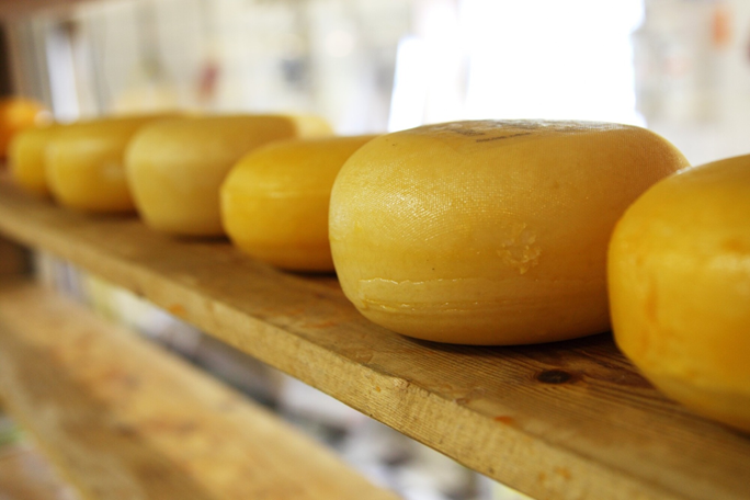 <strong>Cheese Making for Beginners: 5 Important Tips You Need to Know</strong>